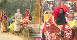 ভোটের সমীকরণে নাটোরের নারী ভোটাররা, কর্মসংস্থান ও স্বীকৃতিতে পিছিয়ে